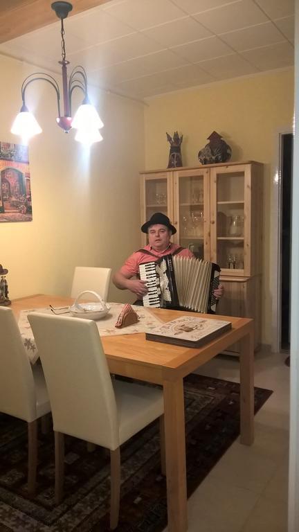 Pongracz Apartman زيرك المظهر الخارجي الصورة